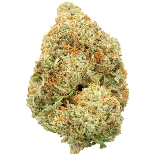 AK-47 Strain For Sale AK-47 Strain For Sale