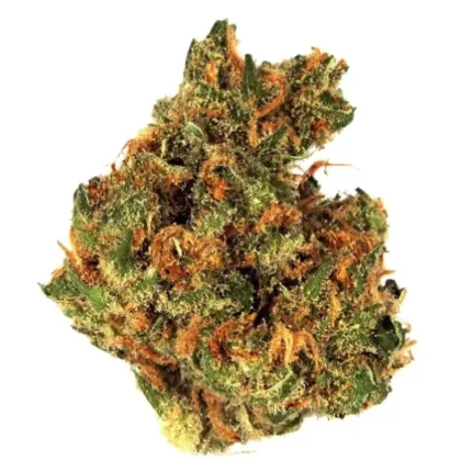 Island Sweet Skunk Strain