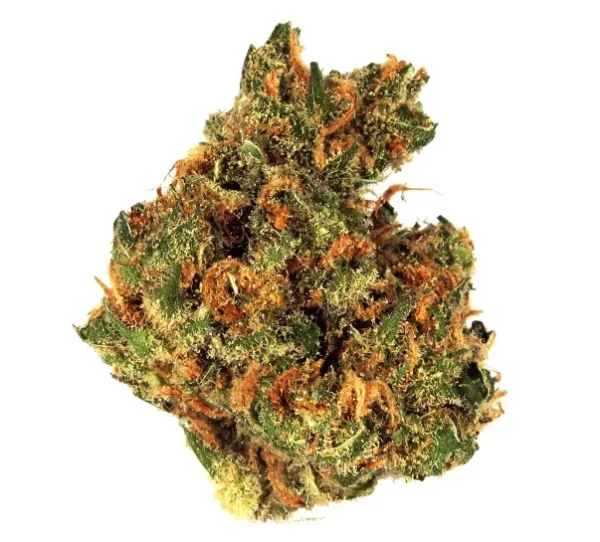 Island Sweet Skunk Strain Island Sweet Skunk Strain